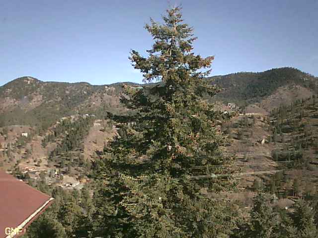 Live camera in DENVER